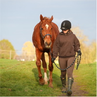 Stellar Saftey Leadrope